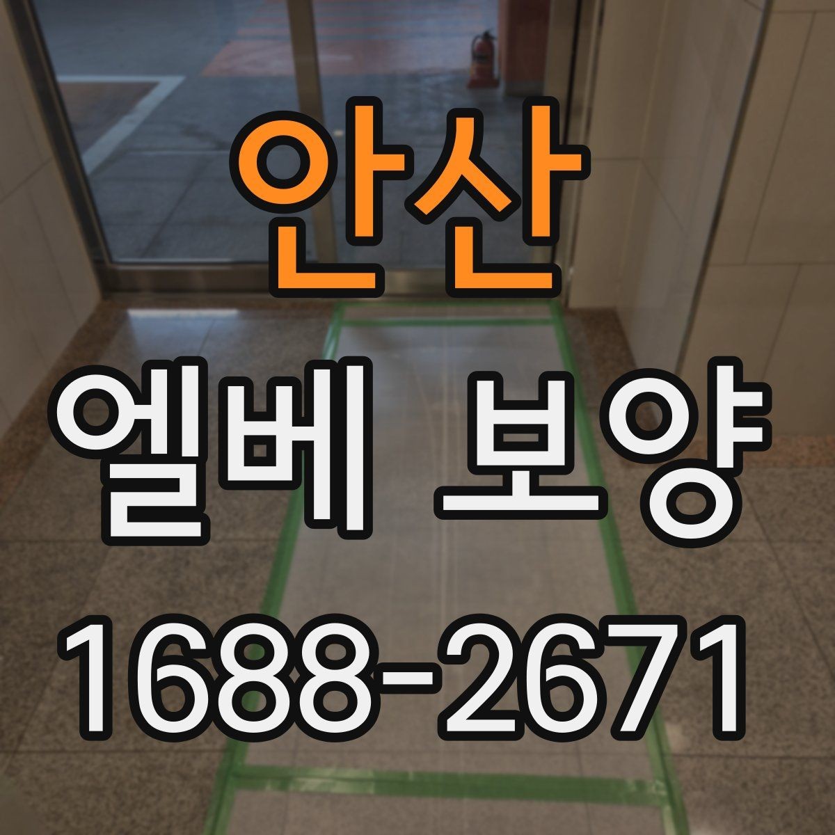 안산 엘베 보양 바닥과 벽면 오염을 함께 줄이는 실무