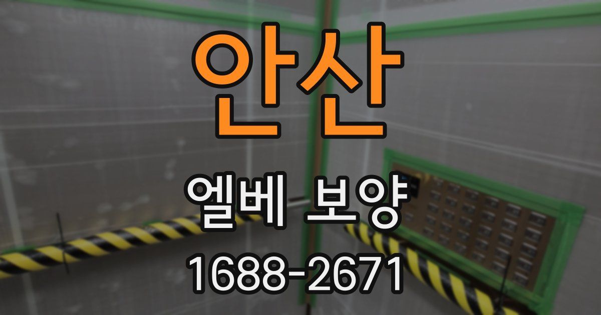 안산 엘베 보양
