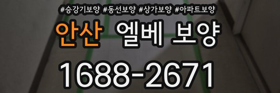 안산 엘베 보양