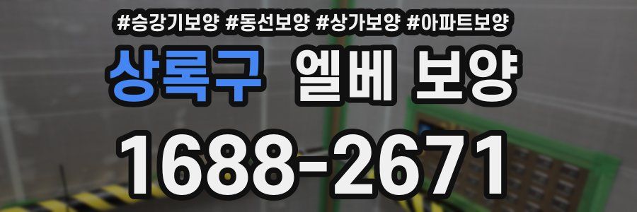 상록구 엘베 보양