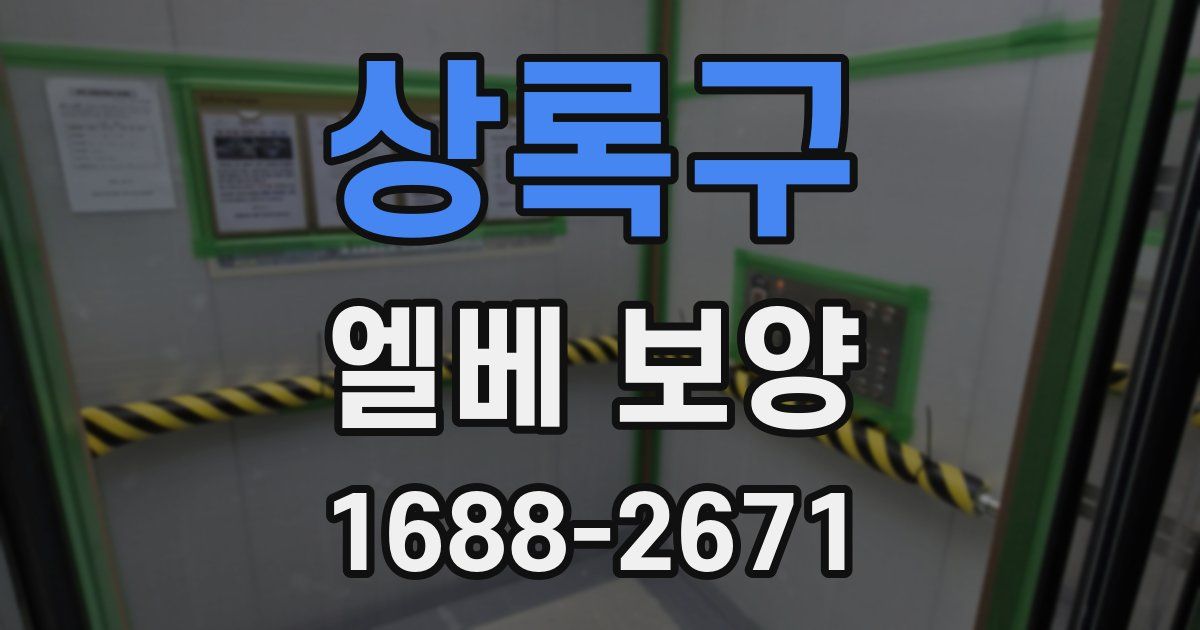 상록구 엘베 보양