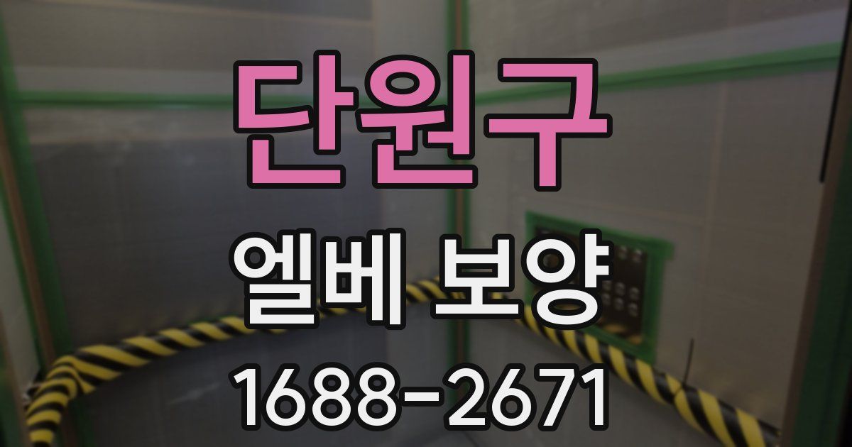 단원구 엘베 보양