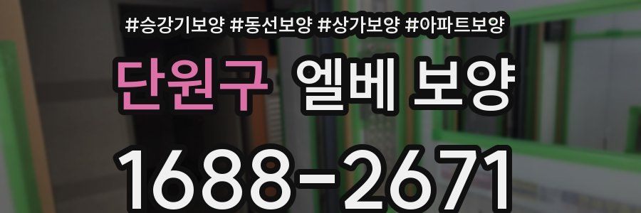 단원구 엘베 보양