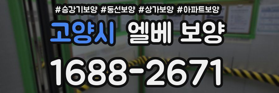 고양시 엘베 보양