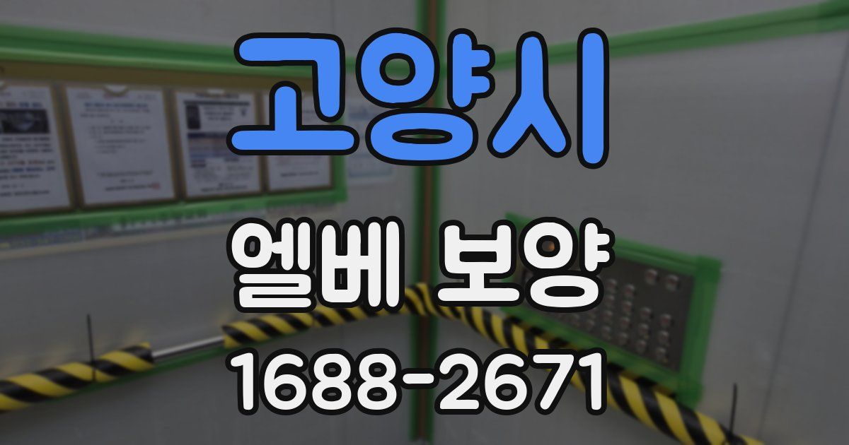 고양시 엘베 보양