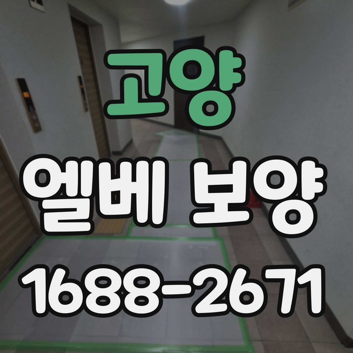 고양 엘베 보양 대형 이사 현장에 맞춘 보호 범위 설정