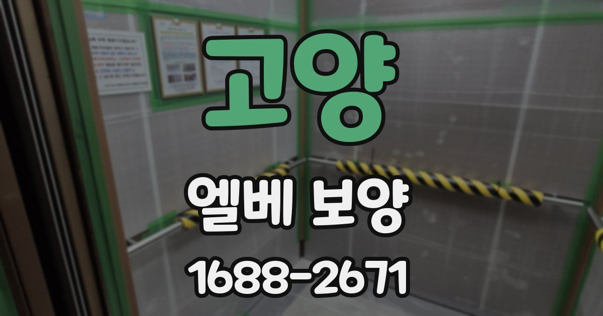 고양 엘베 보양