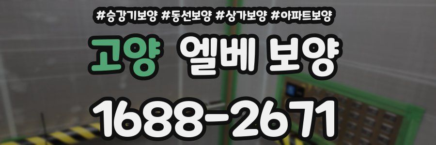 고양 엘베 보양