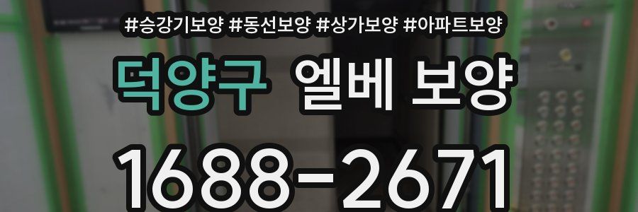 덕양구 엘베 보양