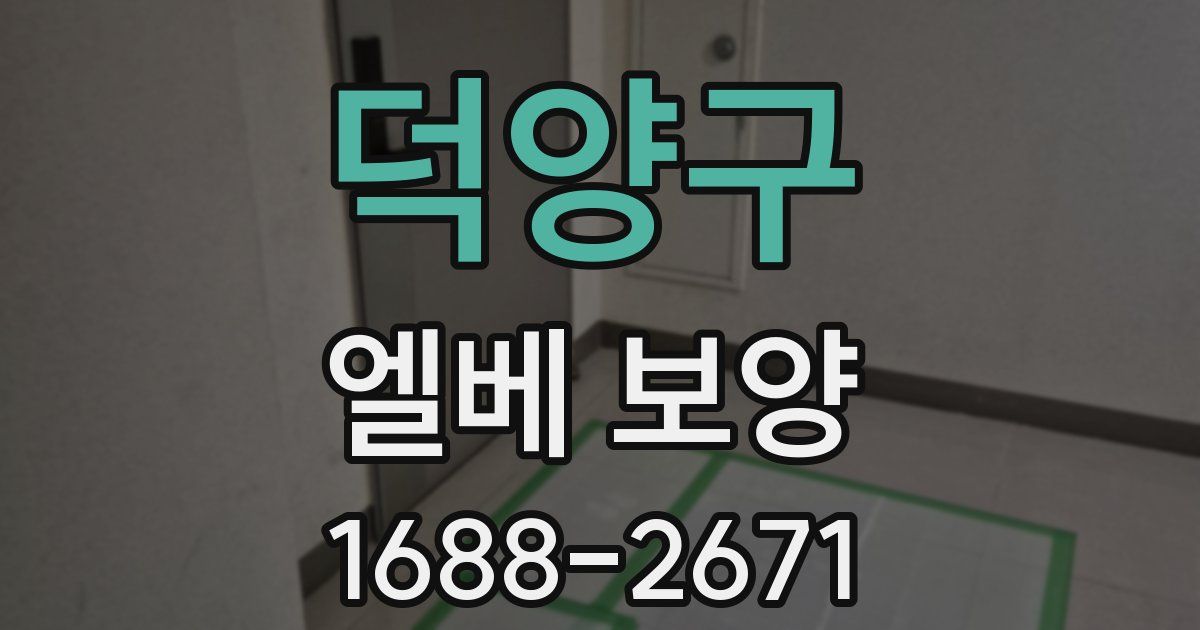 덕양구 엘베 보양