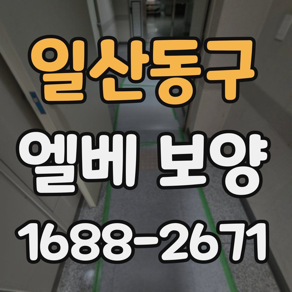 일산동구 엘베 보양 반복 출입이 많은 현장에서 교체가 빠른 이유