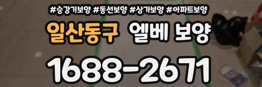 일산동구 엘베 보양