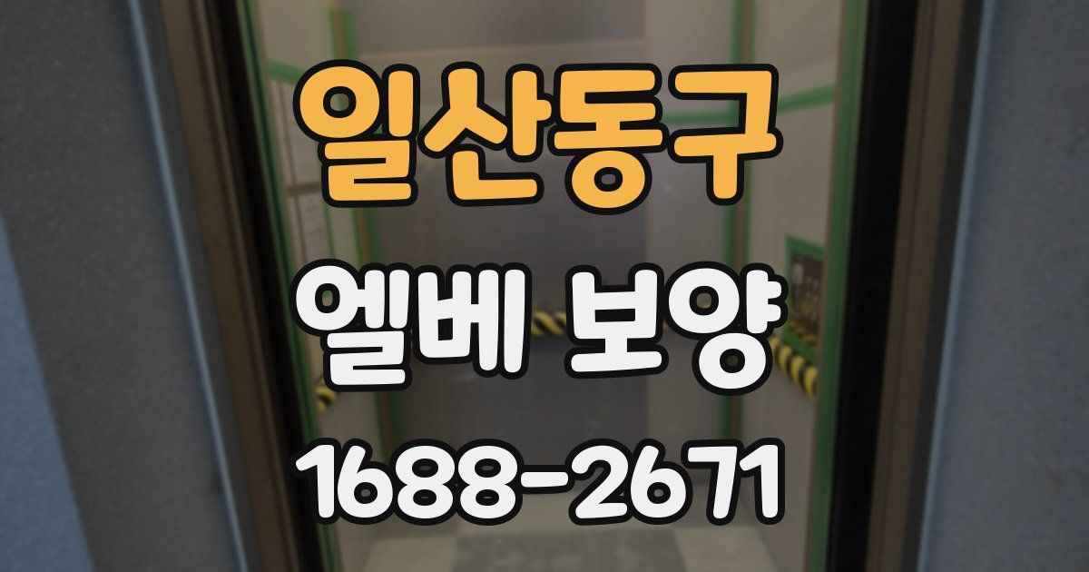 일산동구 엘베 보양