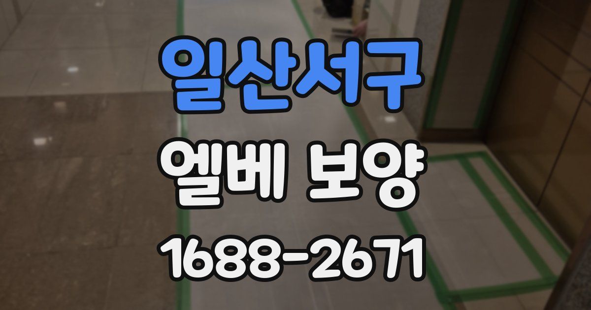 일산서구 엘베 보양
