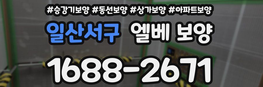일산서구 엘베 보양