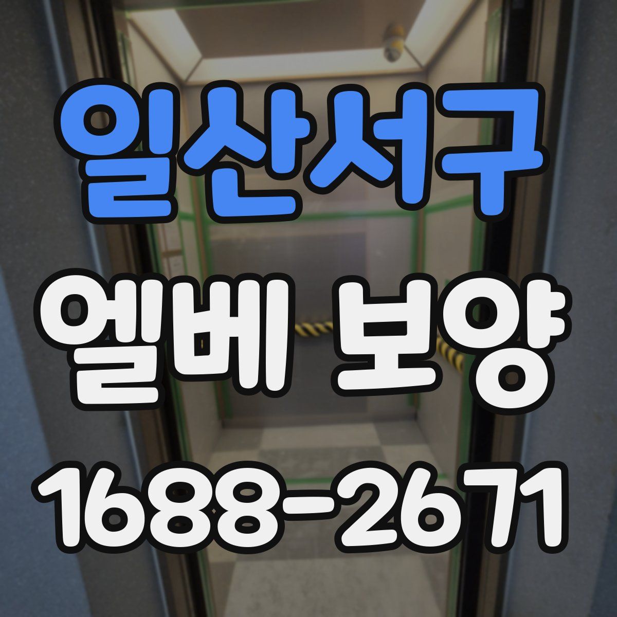 일산서구 엘베 보양