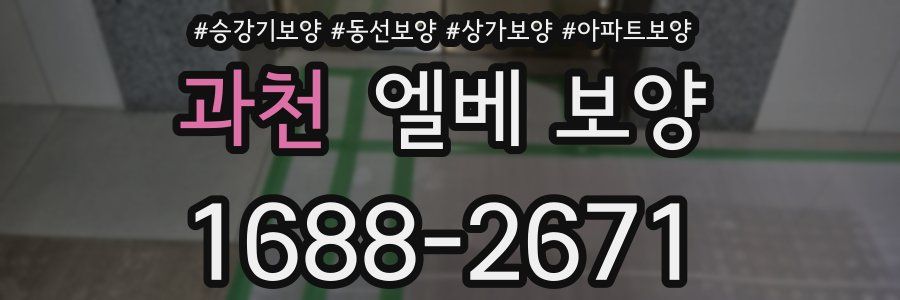 과천 엘베 보양