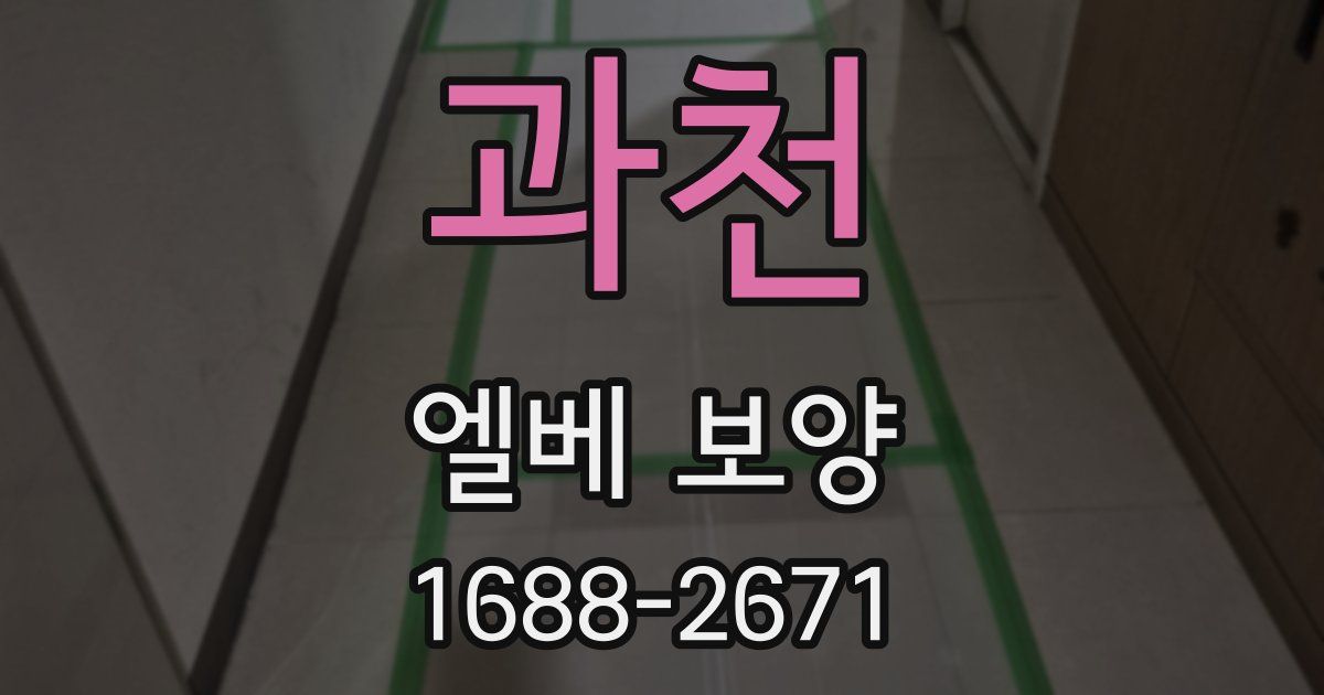 과천 엘베 보양