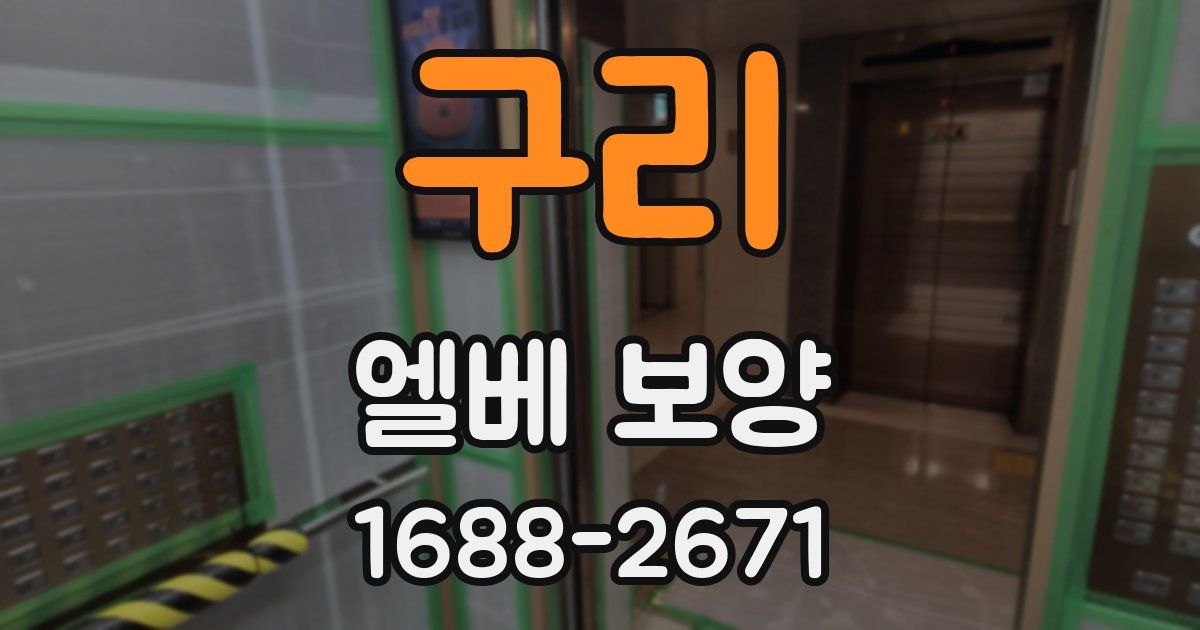구리 엘베 보양