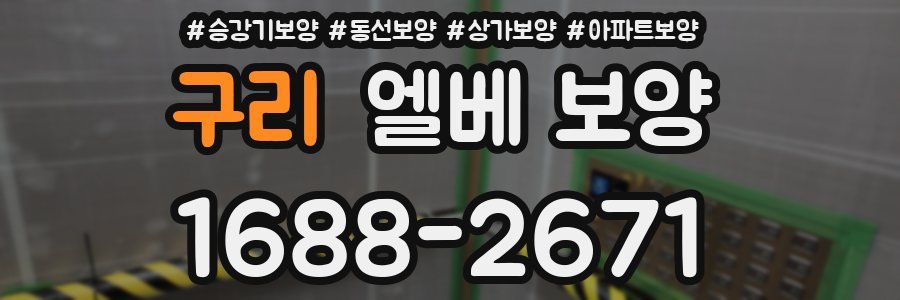 구리 엘베 보양