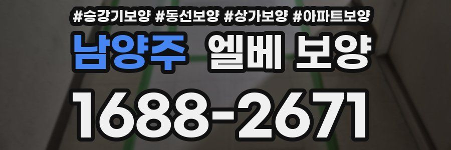 남양주 엘베 보양