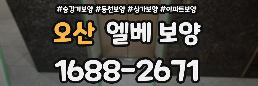 오산 엘베 보양