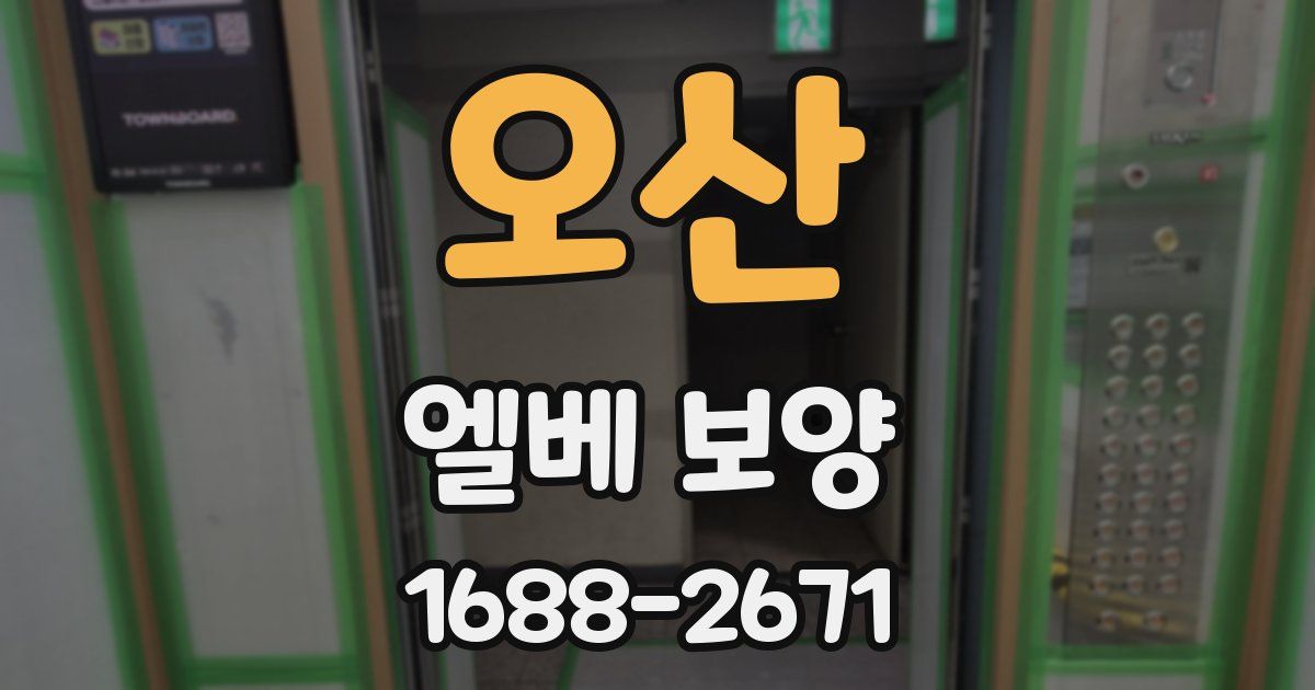 오산 엘베 보양