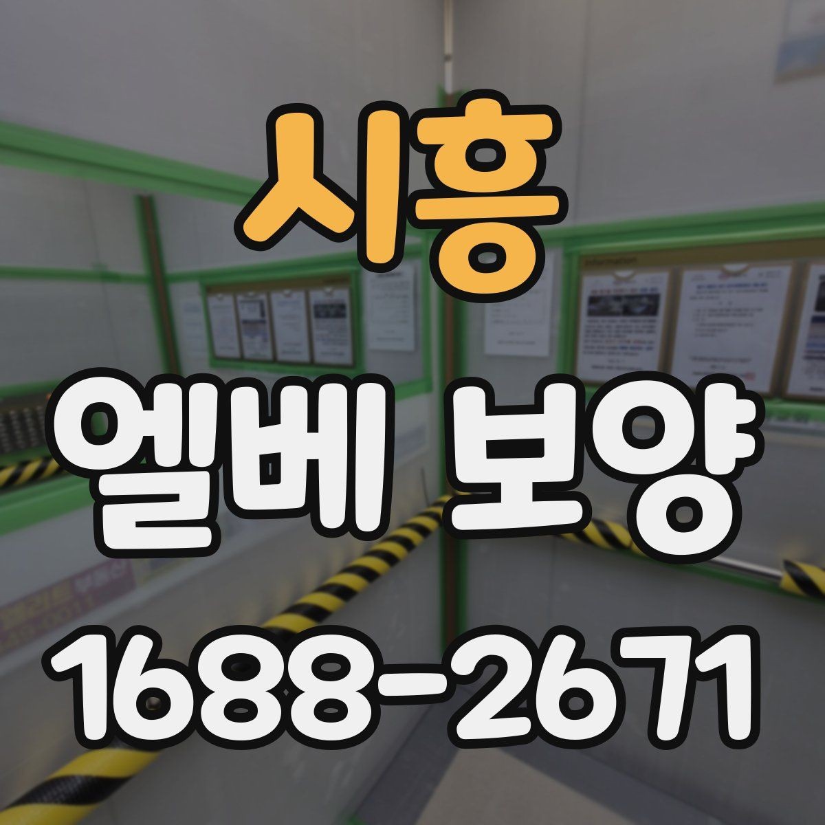 시흥 엘베 보양 여름 고온 환경에서 자재 선택이 중요한 이유
