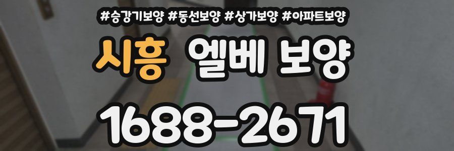 시흥 엘베 보양