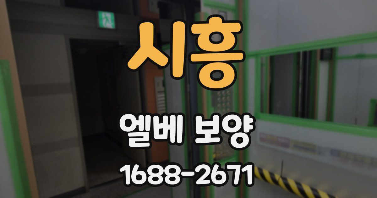 시흥 엘베 보양