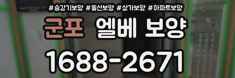 군포 엘베 보양