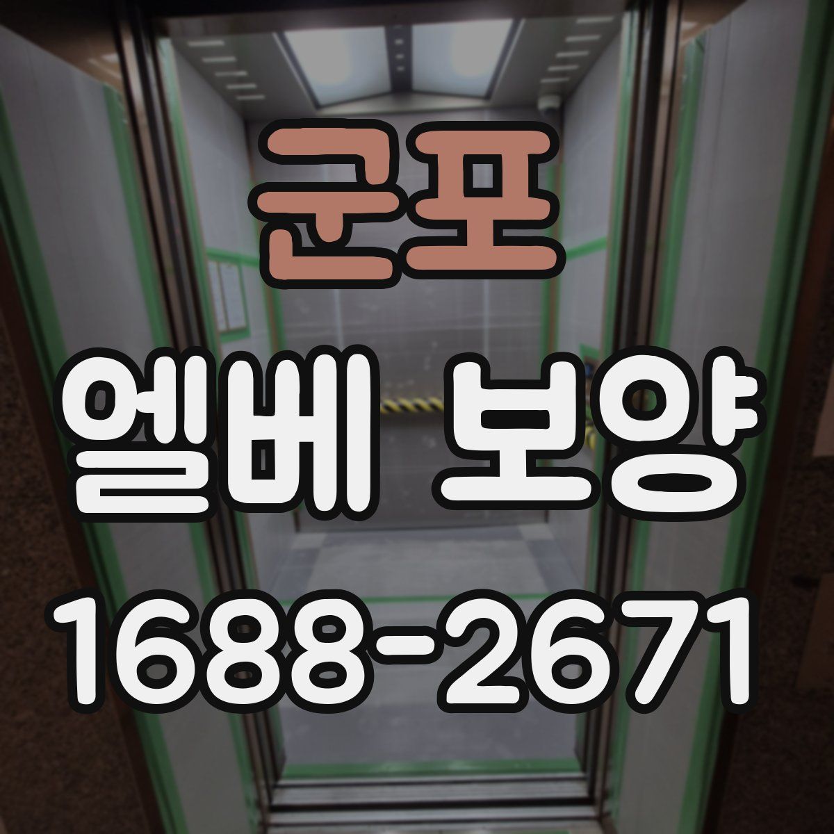 군포 엘베 보양
