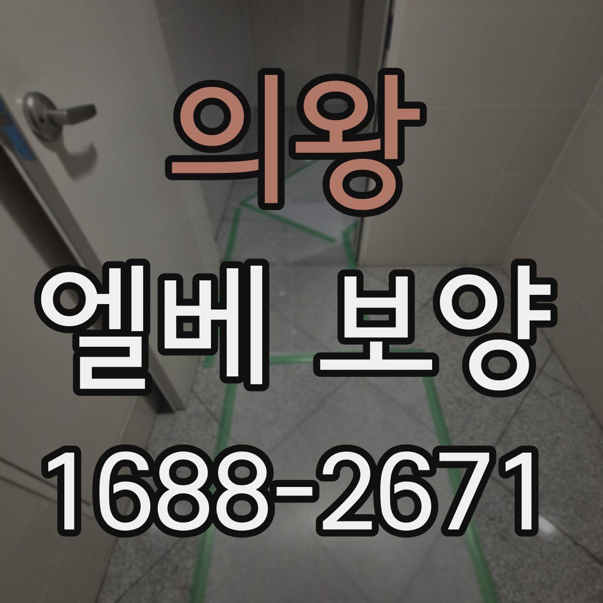 의왕 엘베 보양