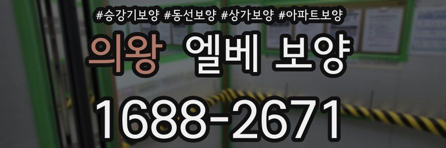 의왕 엘베 보양