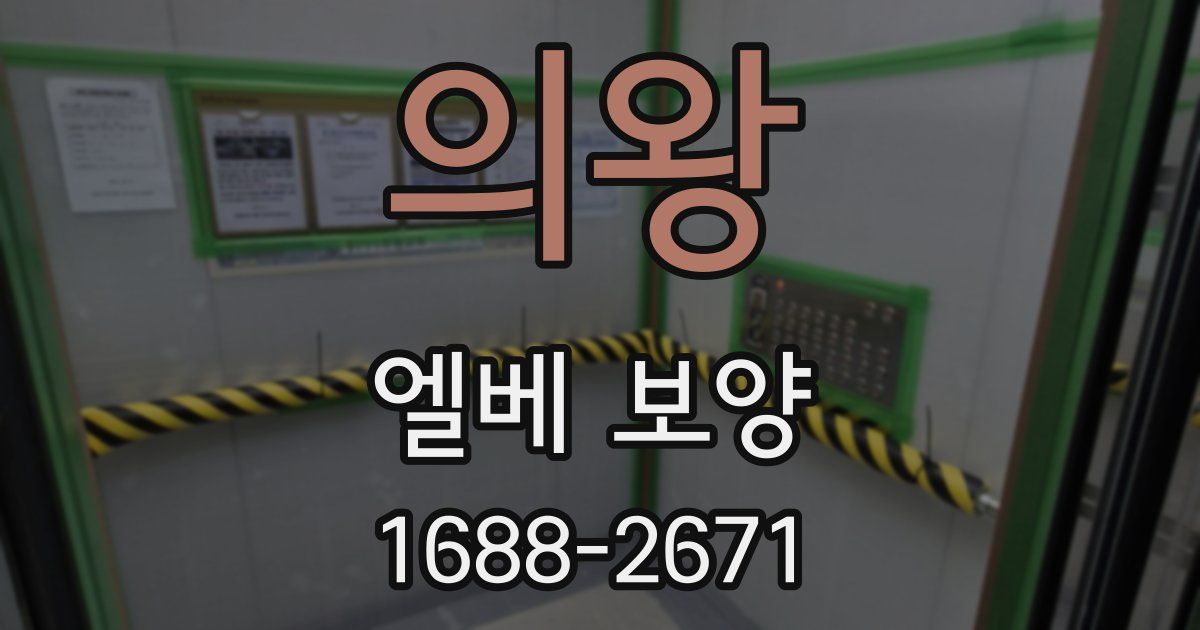 의왕 엘베 보양