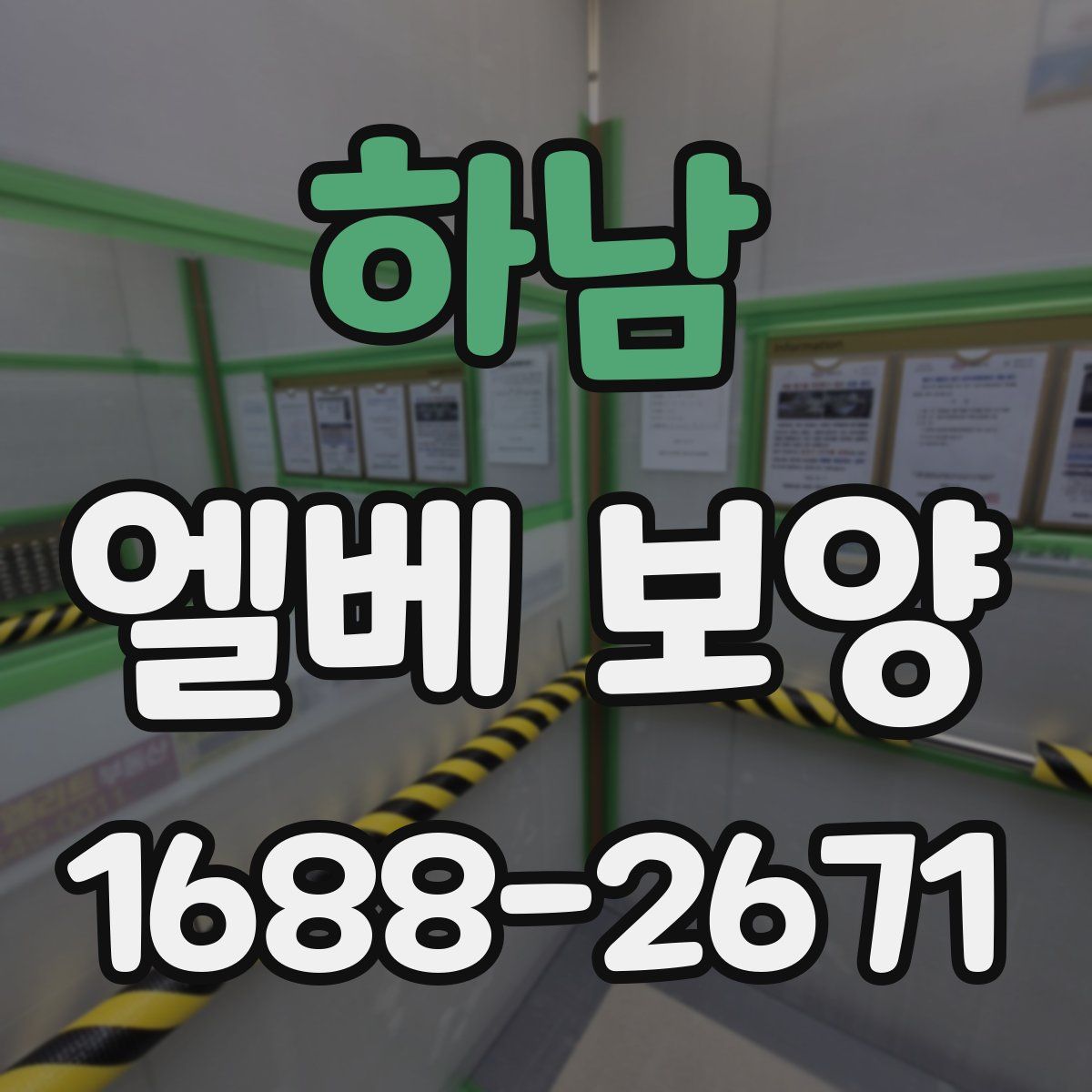 하남 엘베 보양