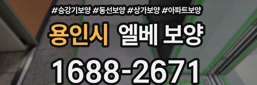 용인시 엘베 보양