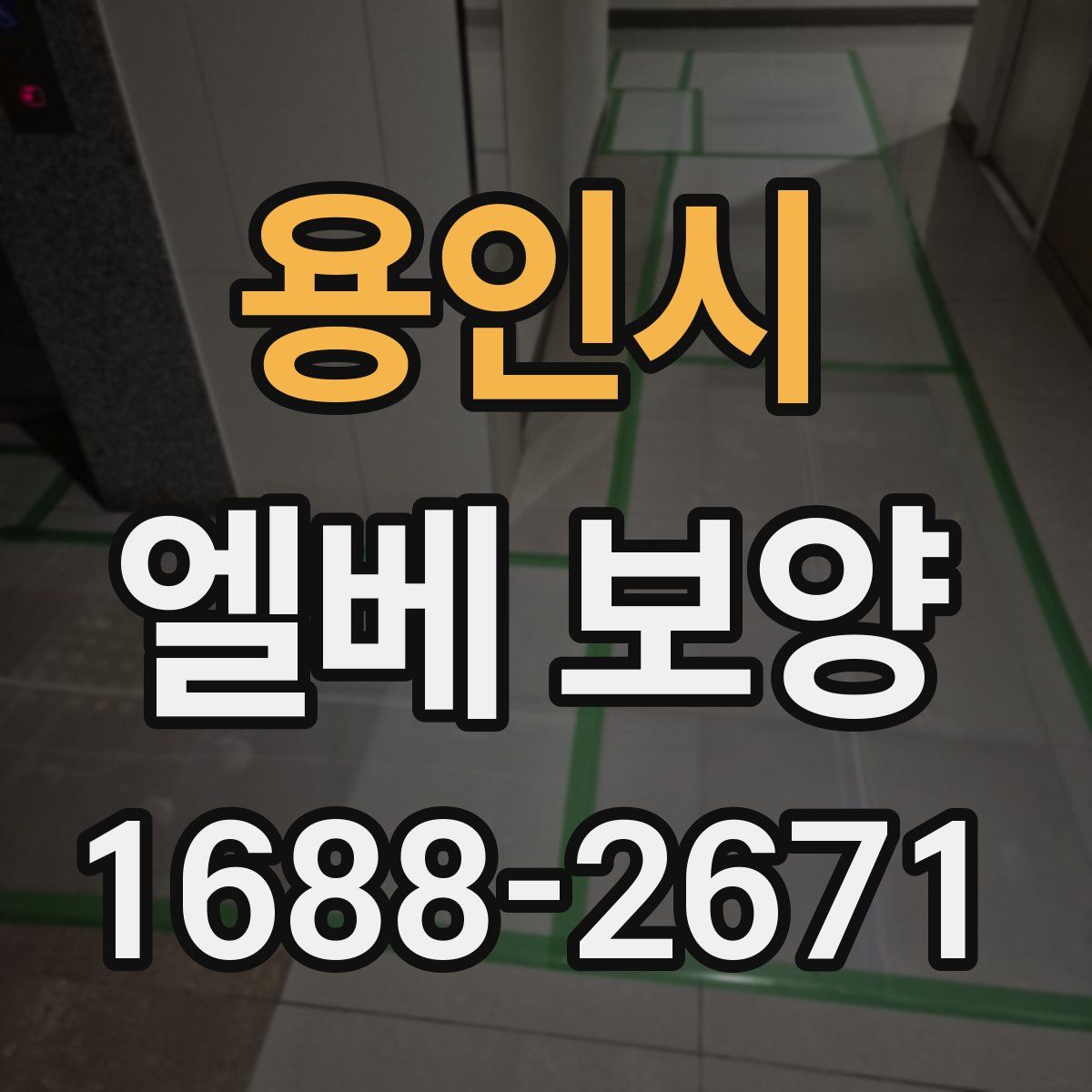 용인시 엘베 보양