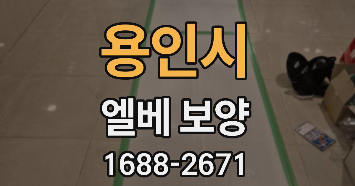 용인시 엘베 보양
