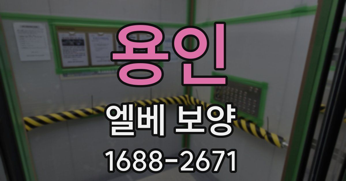 용인 엘베 보양