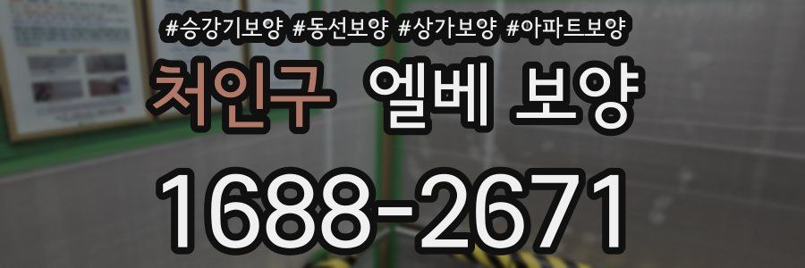 처인구 엘베 보양