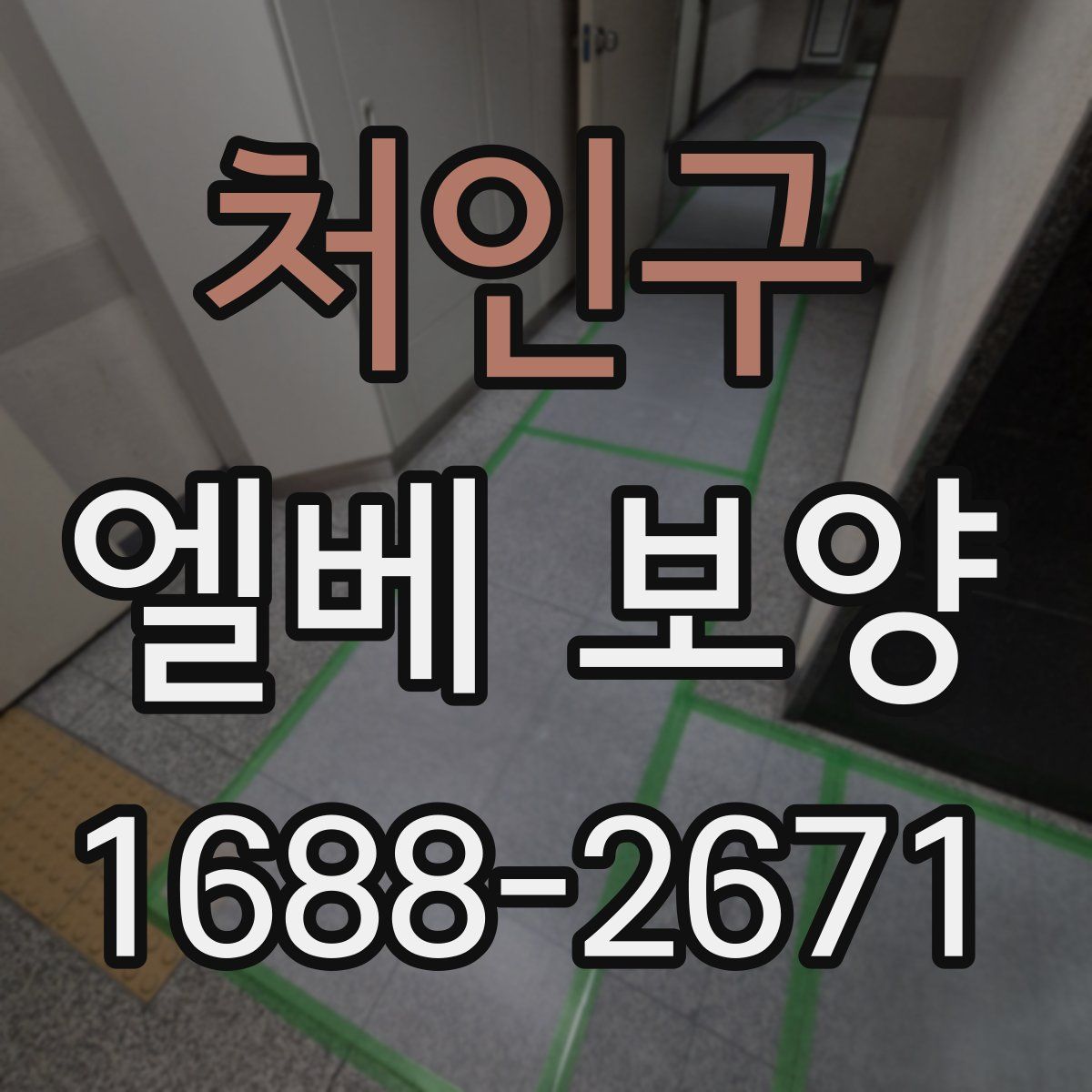 처인구 엘베 보양