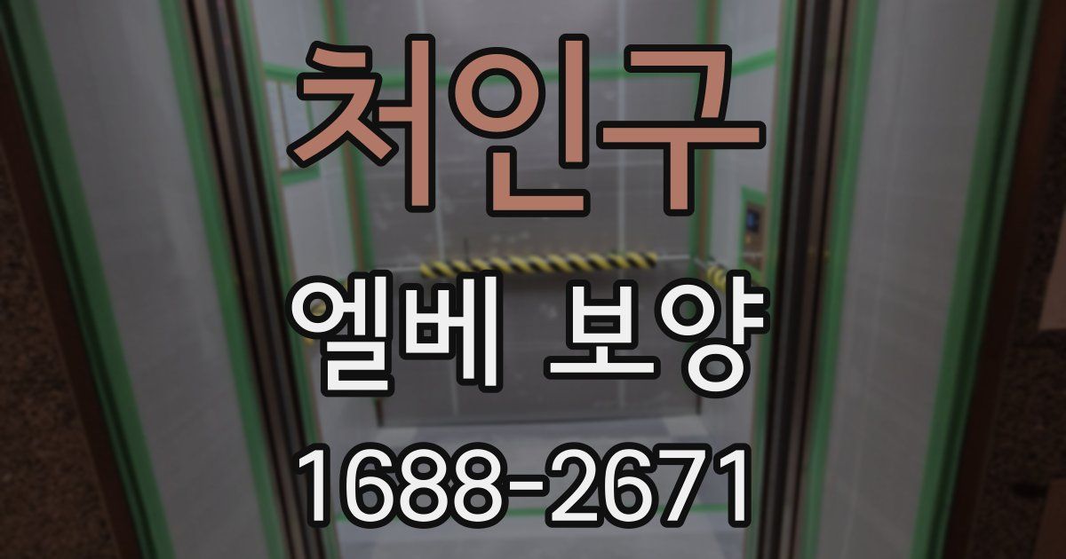 처인구 엘베 보양