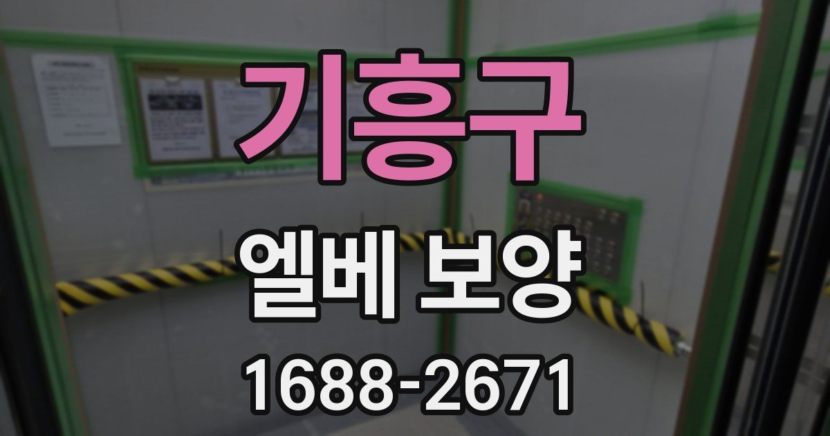 기흥구 엘베 보양