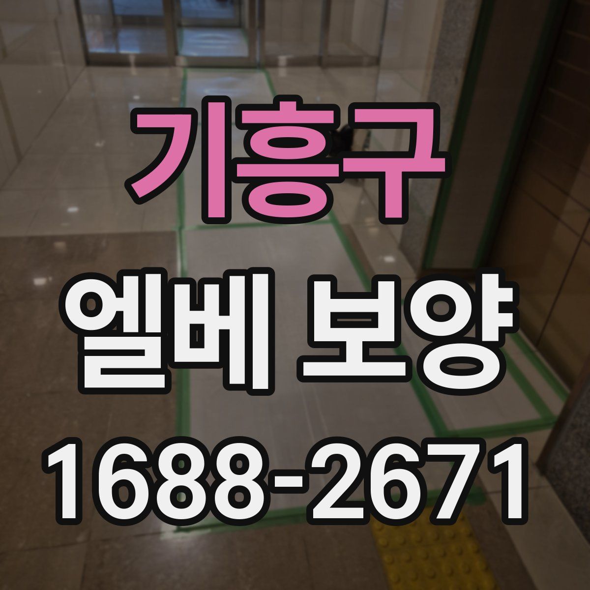 기흥구 엘베 보양
