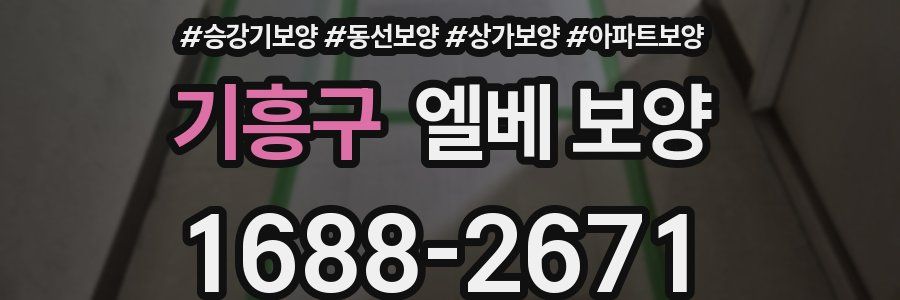 기흥구 엘베 보양