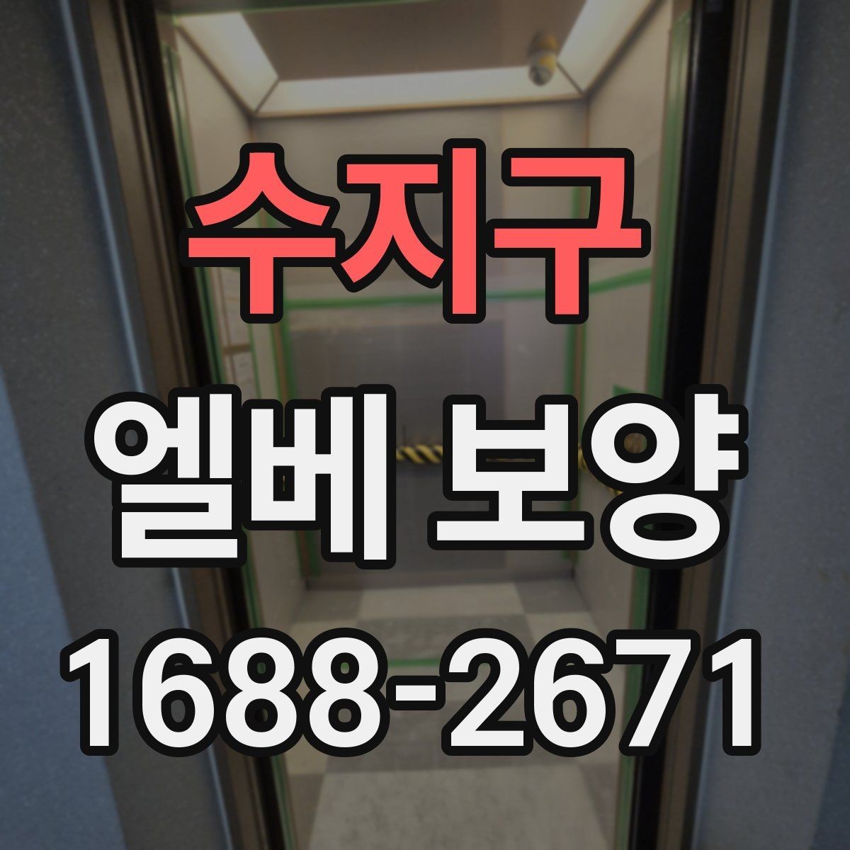 수지구 엘베 보양 이삿짐 이동 구간별로 달라지는 보호 범위