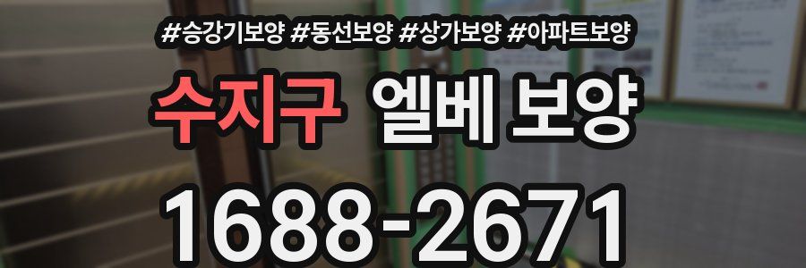 수지구 엘베 보양