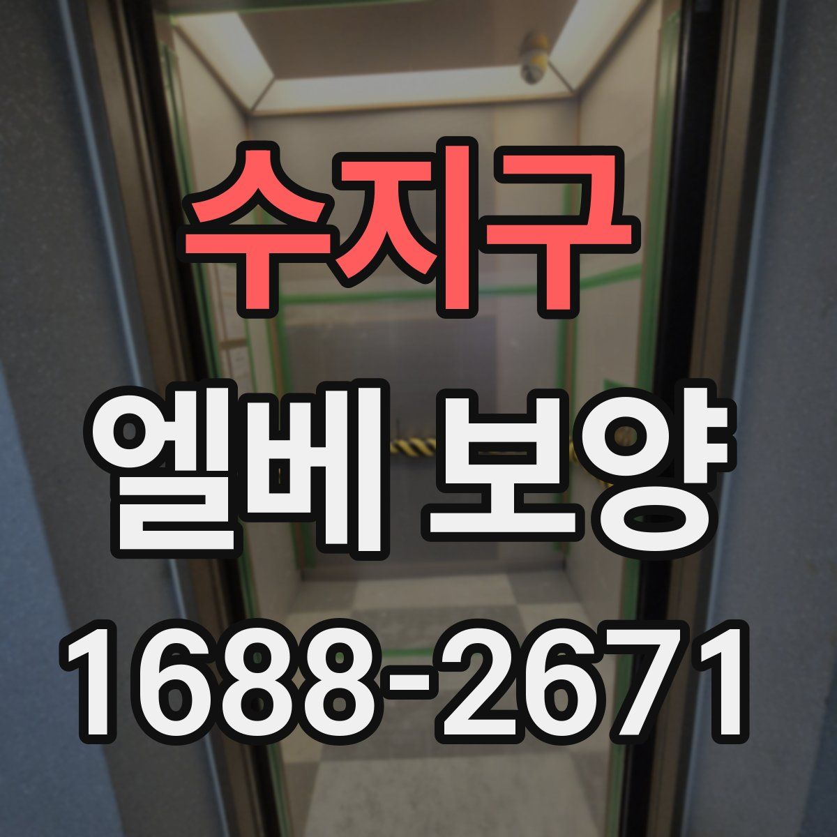수지구 엘베 보양