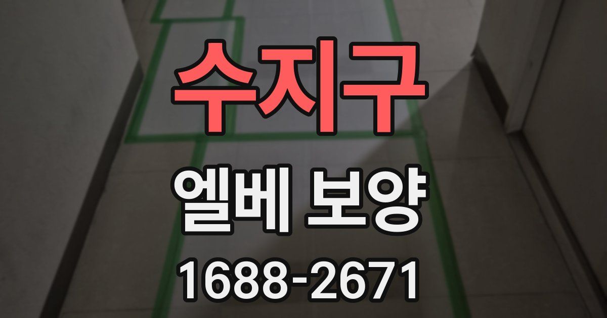 수지구 엘베 보양